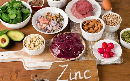 ZINC, sistema nervioso, metabolismo, sistema inmunológico, evanes